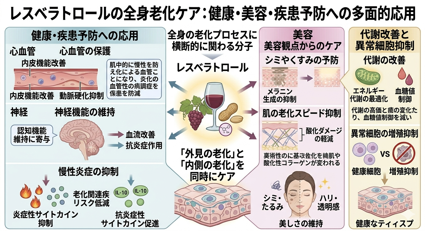 レスベラトロールの全身ケア：健康・美容・疾患予防への応用