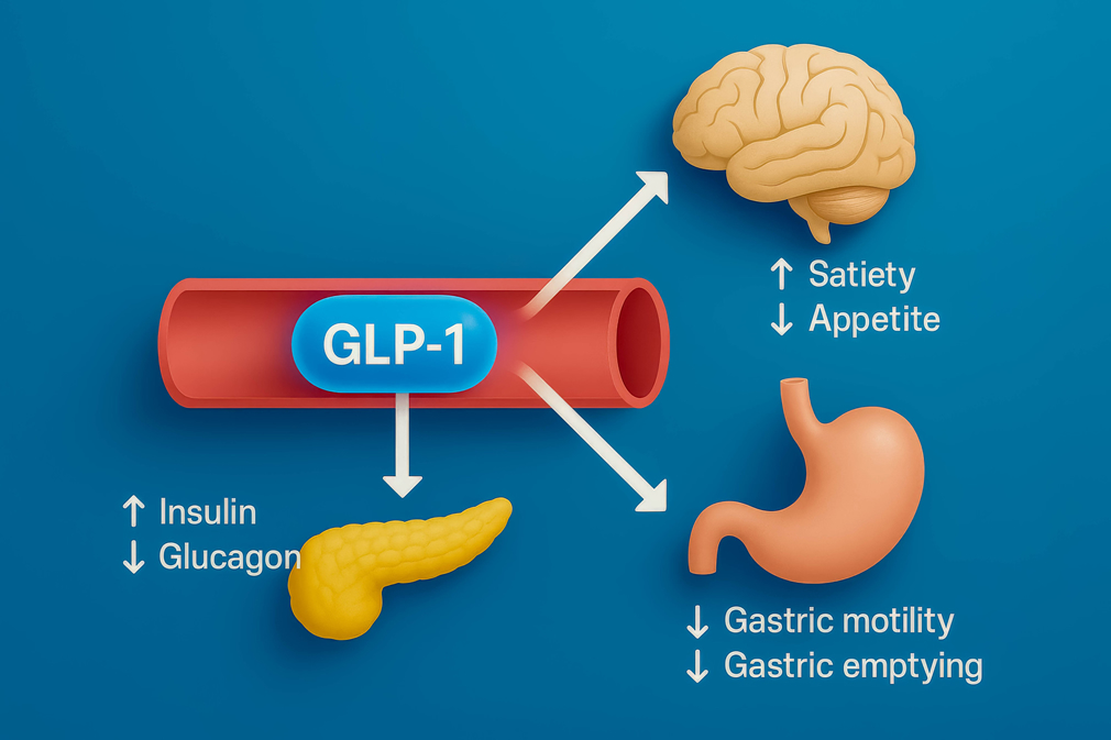 GLP-1薬と筋肉減少の関係