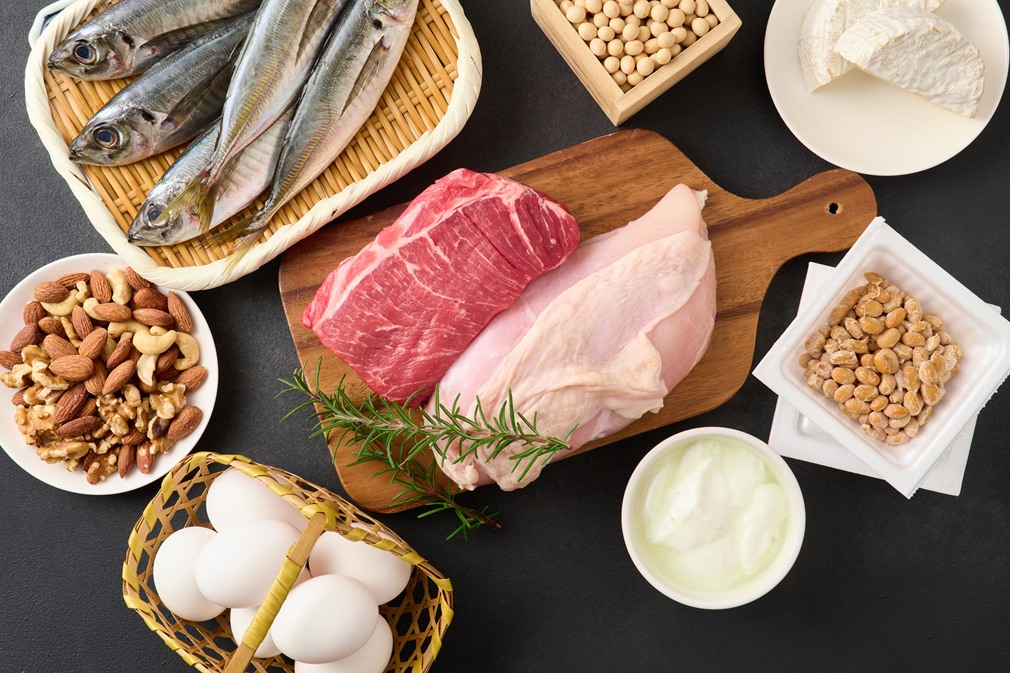 筋肉は“材料”がなければ作られない