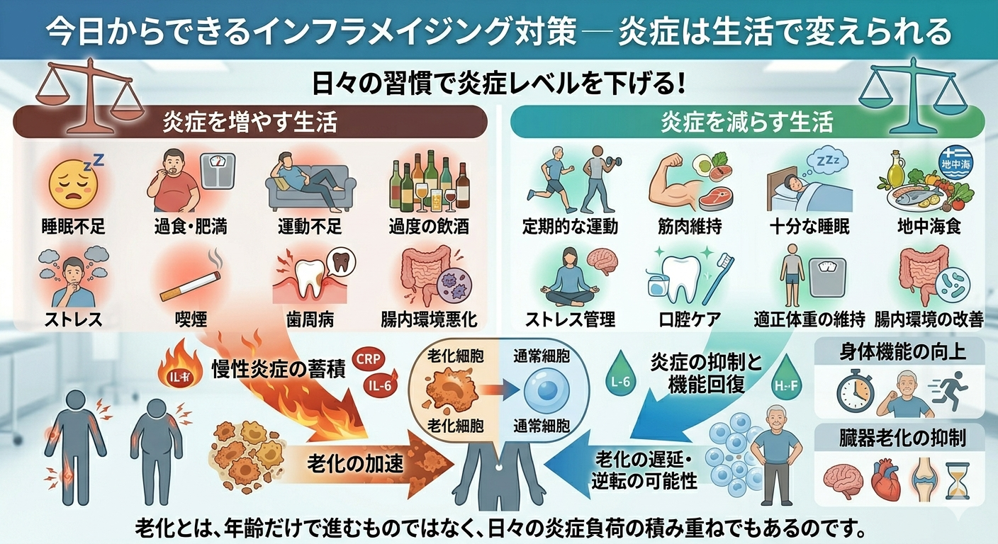 今日からできるインフラメイジング対策─ 炎症は生活で変えられる