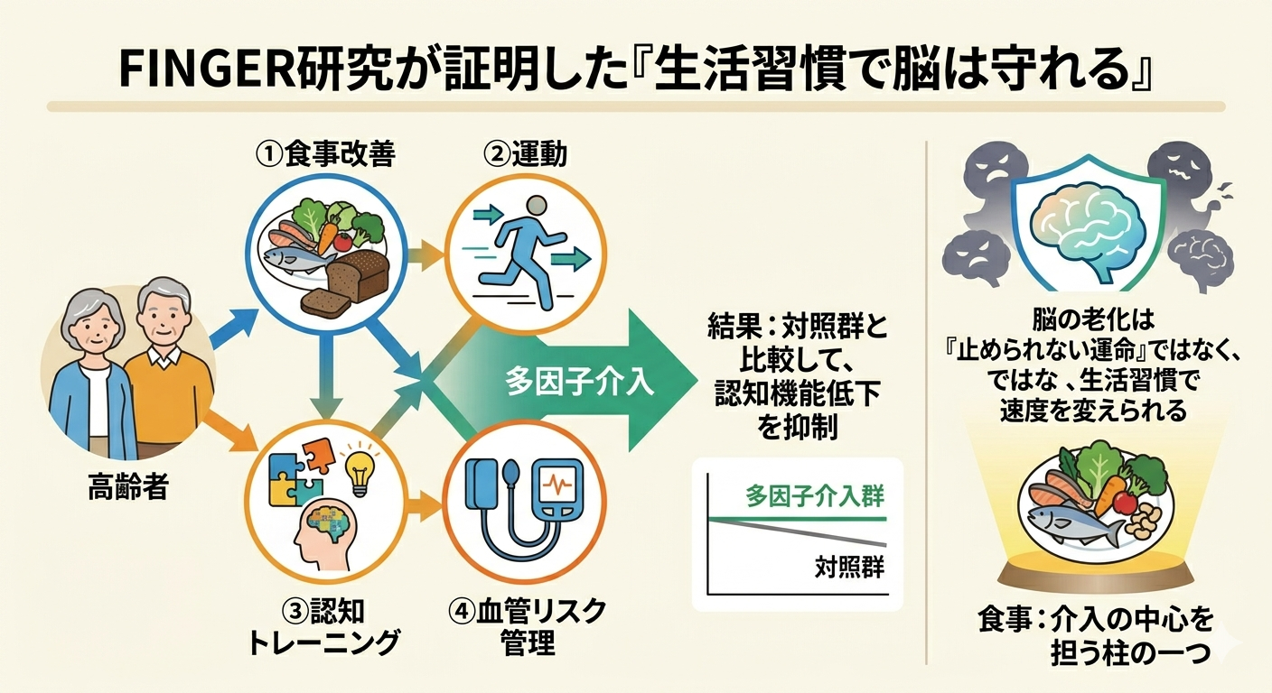 FINGER研究が証明した「生活習慣で脳は守れる」