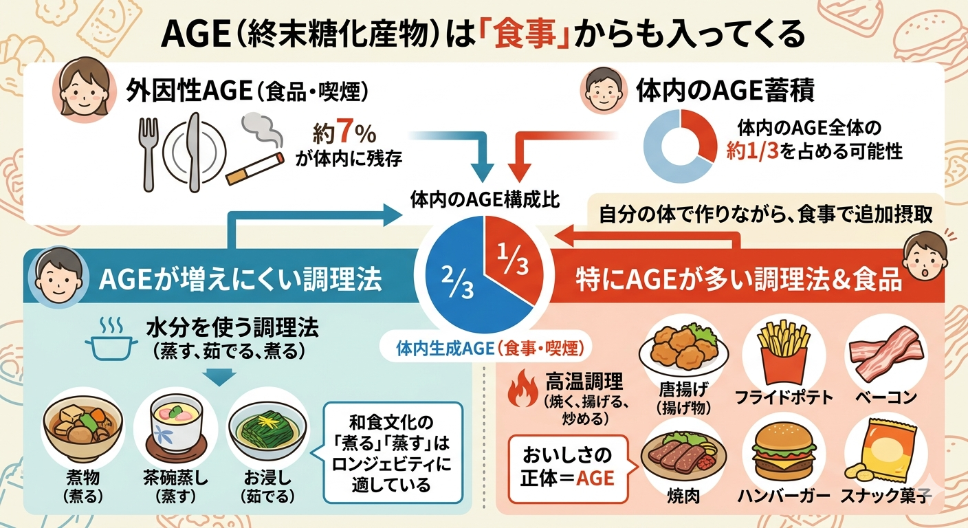 AGEは「食事」からも入ってくる