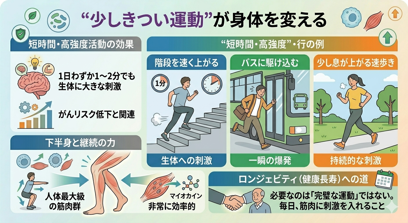 “少しきつい運動”が身体を変える