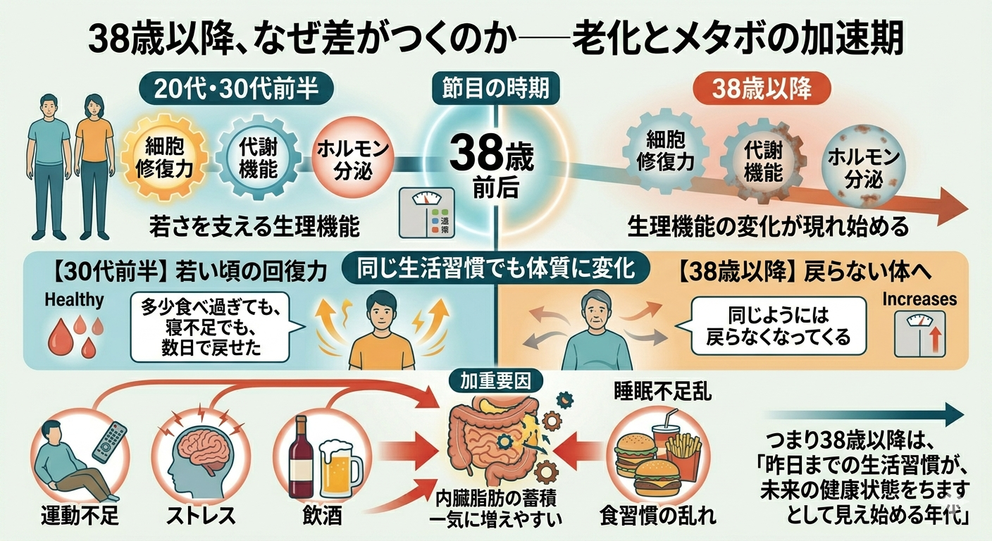 38歳以降、なぜ差がつくのか──老化とメタボの加速期