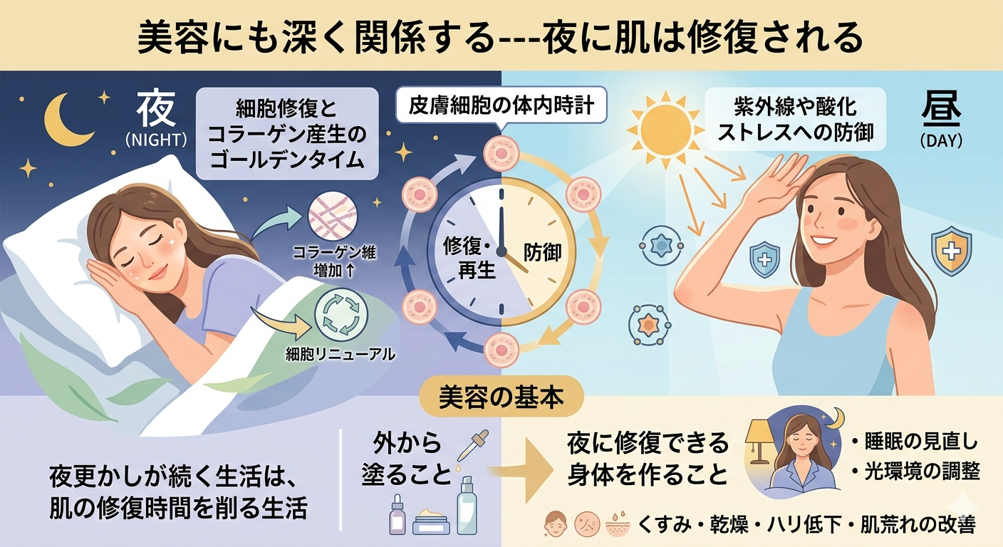 美容にも深く関係する──夜に肌は修復され、見た目年齢は睡眠中に決まる