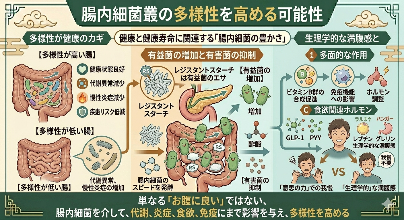 レジスタントスターチが腸内細菌叢の多様性を高める可能性