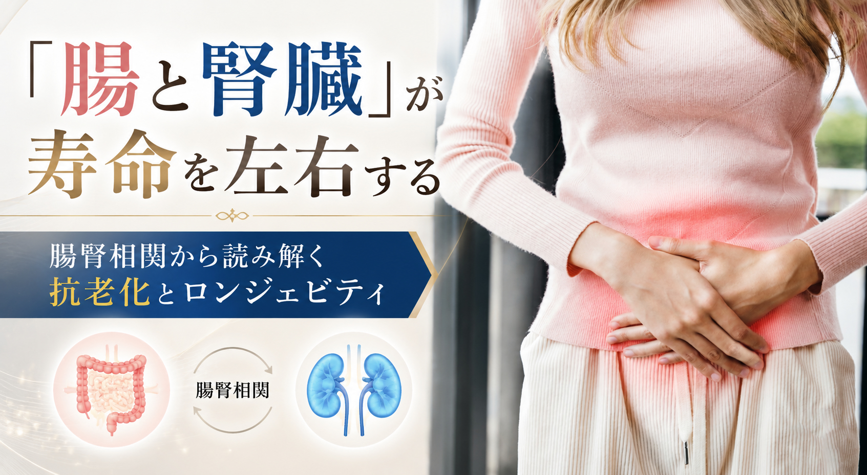 「腸と腎臓」が寿命を左右する──腸腎相関から読み解く抗老化とロンジェビティ