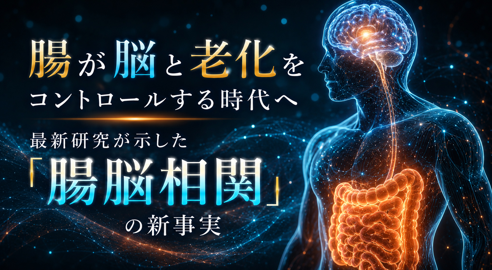 腸が脳と老化をコントロールする時代へ──最新研究が示した「腸脳相関」の新事実