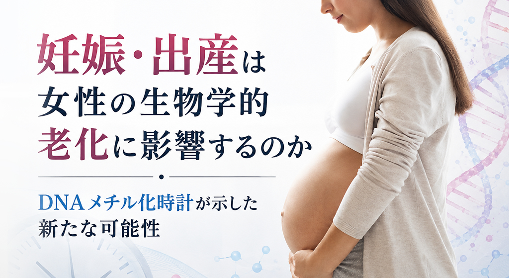 妊娠・出産は女性の生物学的老化に影響するのか――DNAメチル化時計が示した新たな可能性