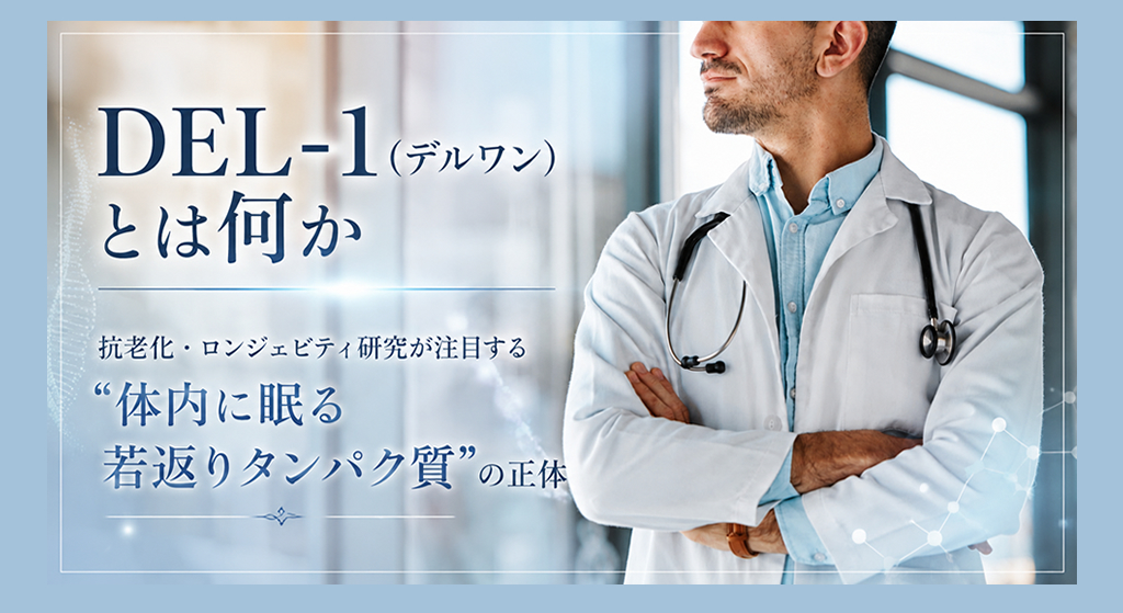 DEL-1(デルワン)とは何か ──抗老化・ロンジェビティ研究が注目する“体内に眠る若返りタンパク質”の正体