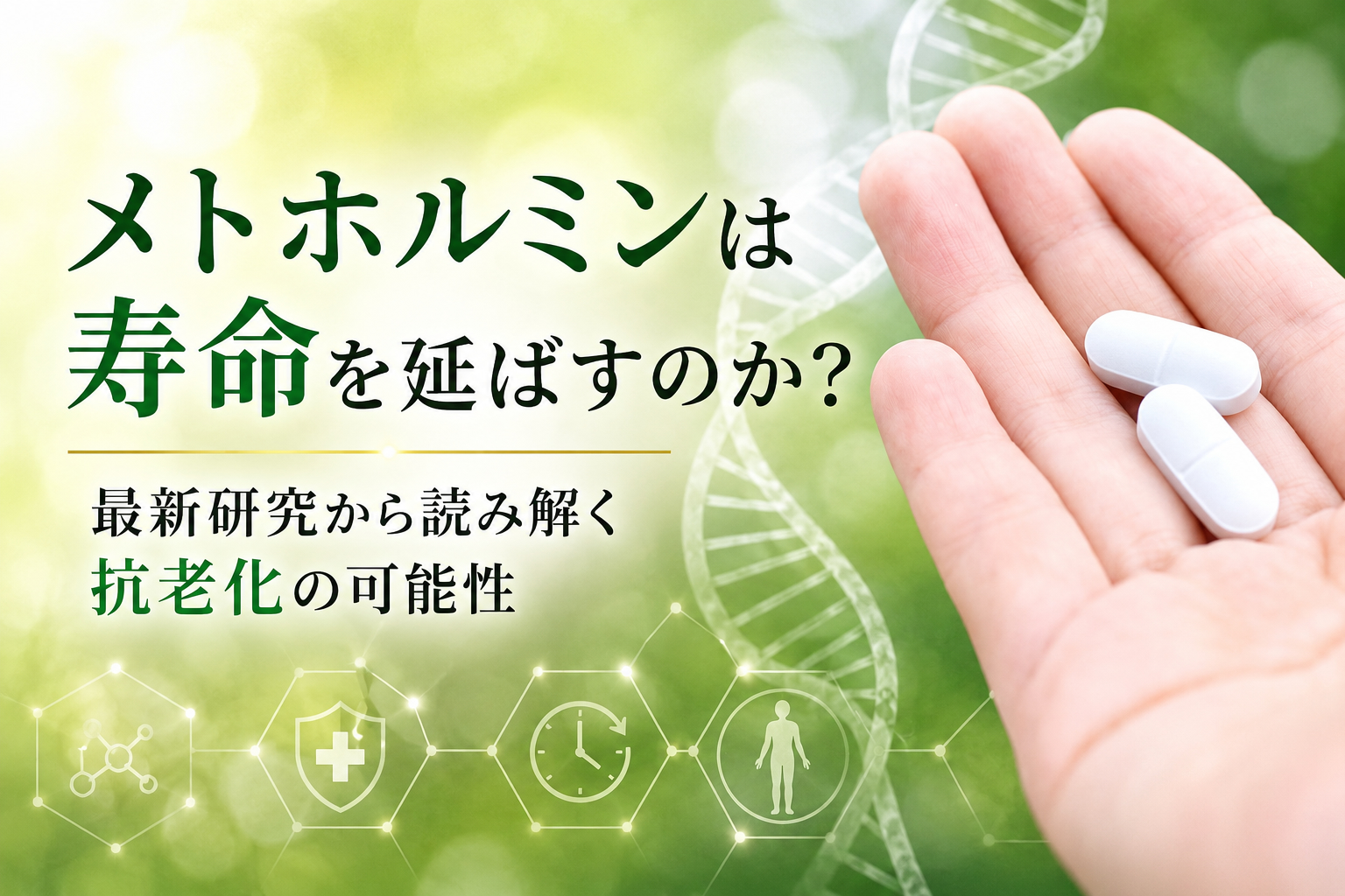 メトホルミンは寿命を延ばすのか?― 最新研究から読み解く抗老化の可能性