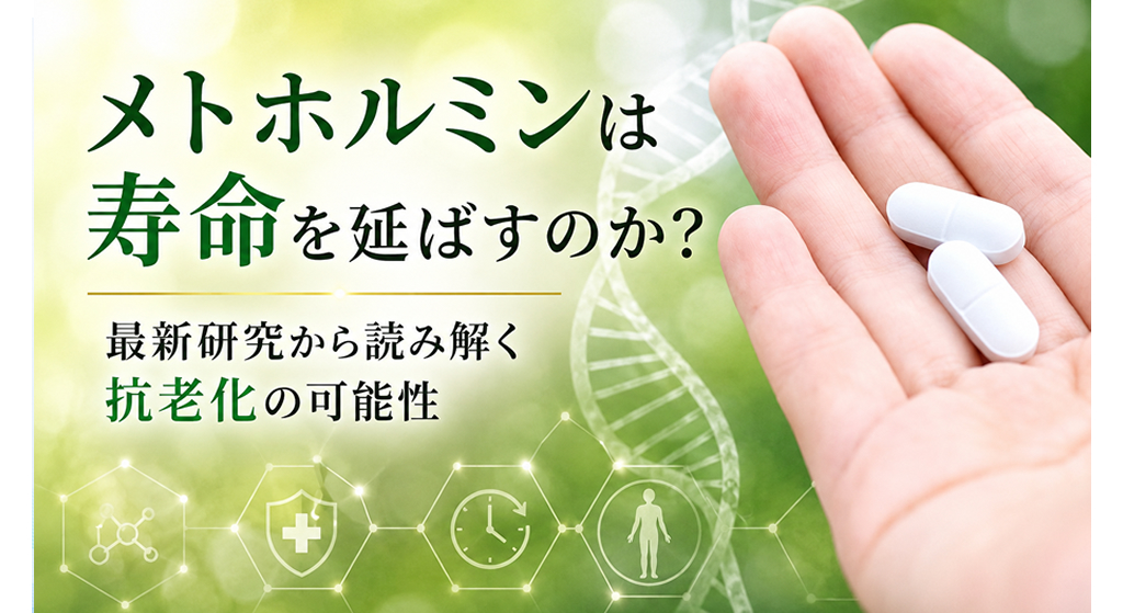 メトホルミンは寿命を延ばすのか？― 最新研究から読み解く抗老化の可能性