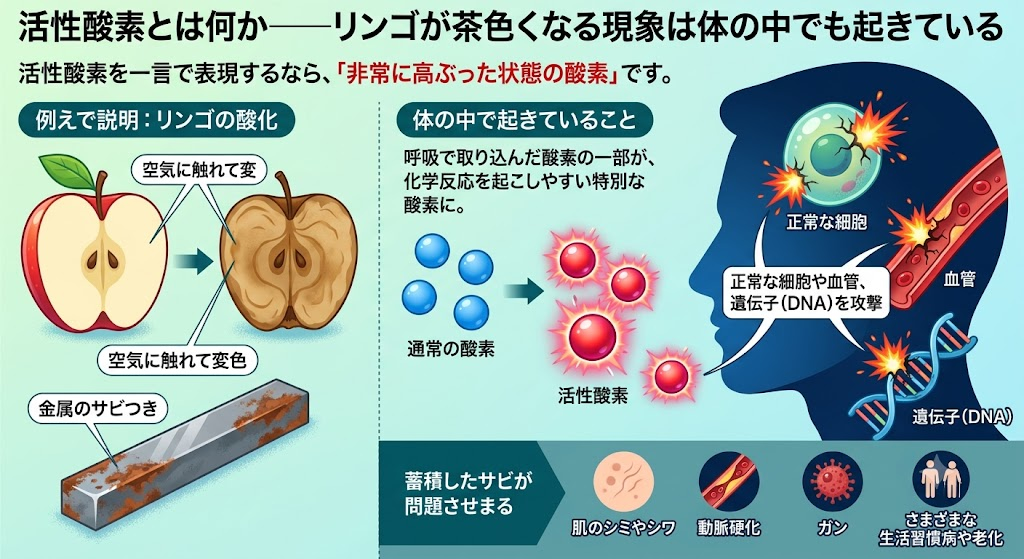 活性酸素とは何か——リンゴが茶色くなる現象は体の中でも起きている