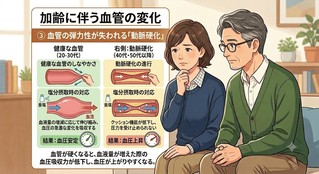 ③ 血管の弾力性が失われる「動脈硬化」