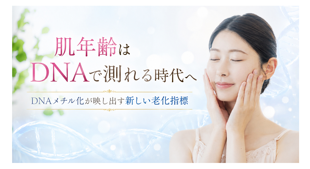 肌年齢はDNAで測れる時代へ ― DNAメチル化が映し出す新しい老化指標