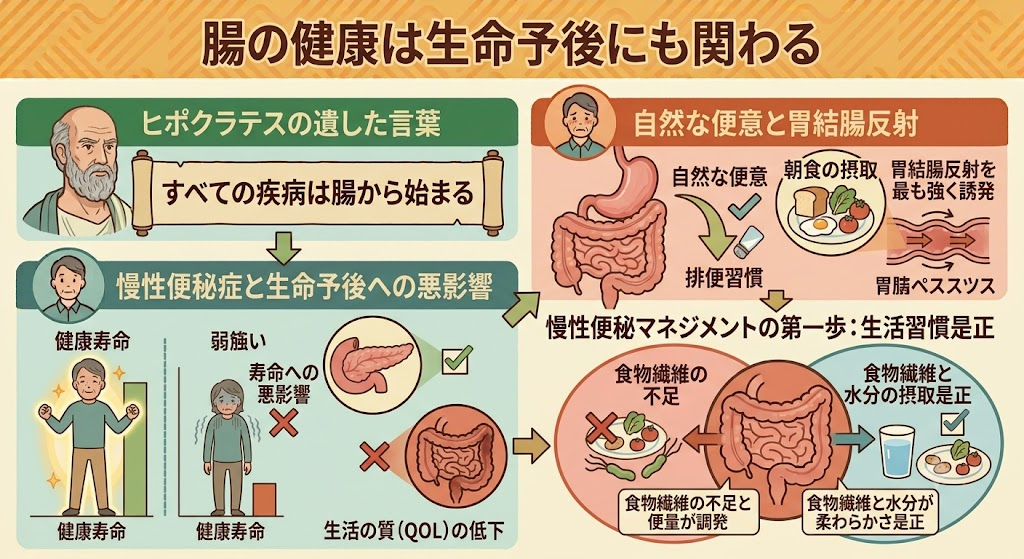腸の健康は生命予後にも関わる