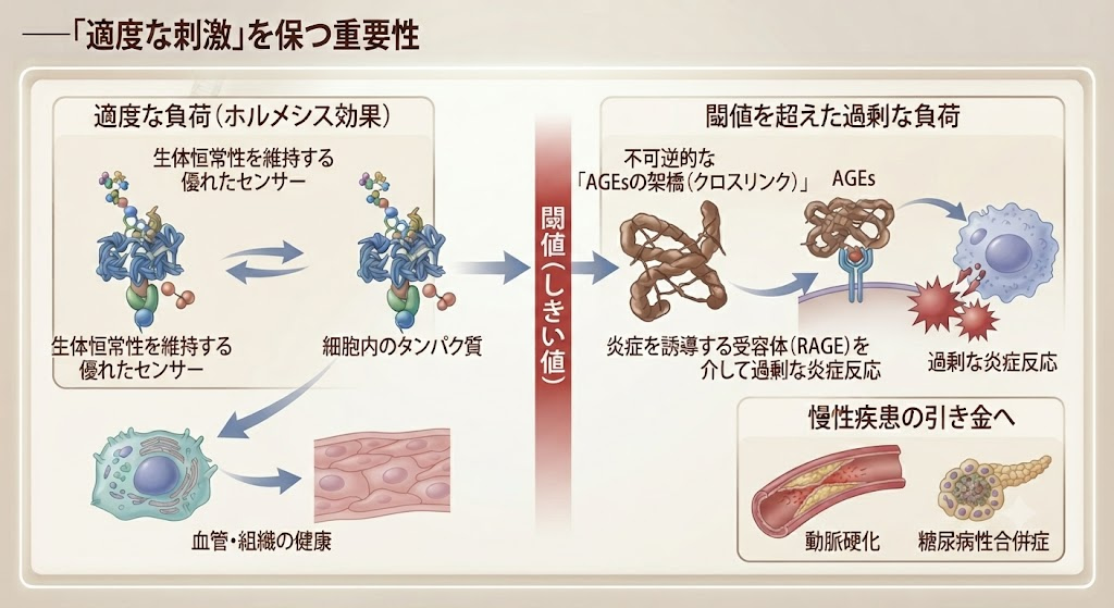 「適度な刺激」を保つ重要性