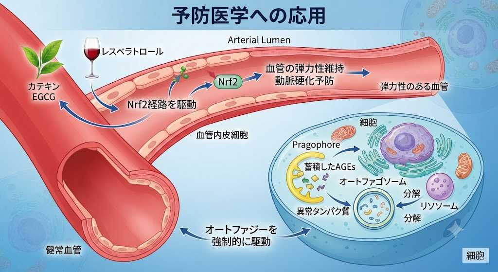 予防医学への応用
