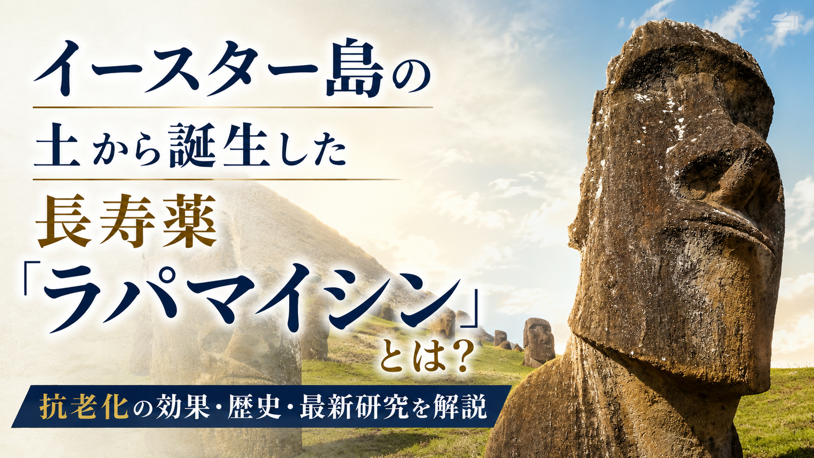 イースター島の土から誕生した長寿薬「ラパマイシン」とは？──抗老化の効果・歴史・最新研究を解説