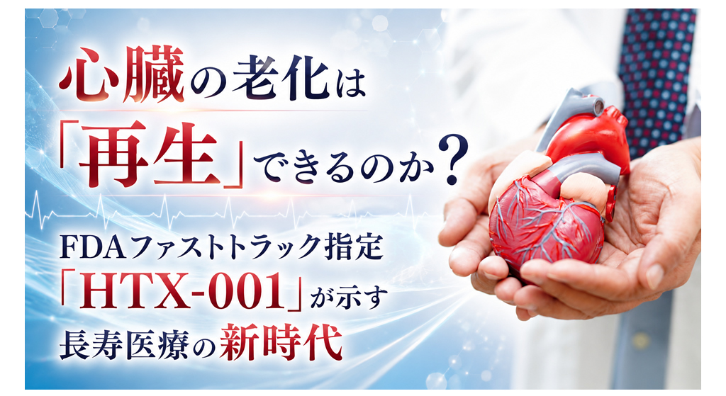 心臓の老化は「再生」できるのか?──FDAファストトラック指定「HTX-001」が示す長寿医療の新時代