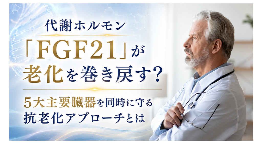 代謝ホルモン「FGF21」が老化を巻き戻す?──5大主要臓器を同時に守る抗老化アプローチとは