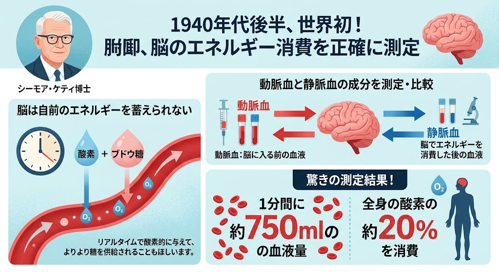1940年代：首の血管から突き止めた「衝撃の数値」
