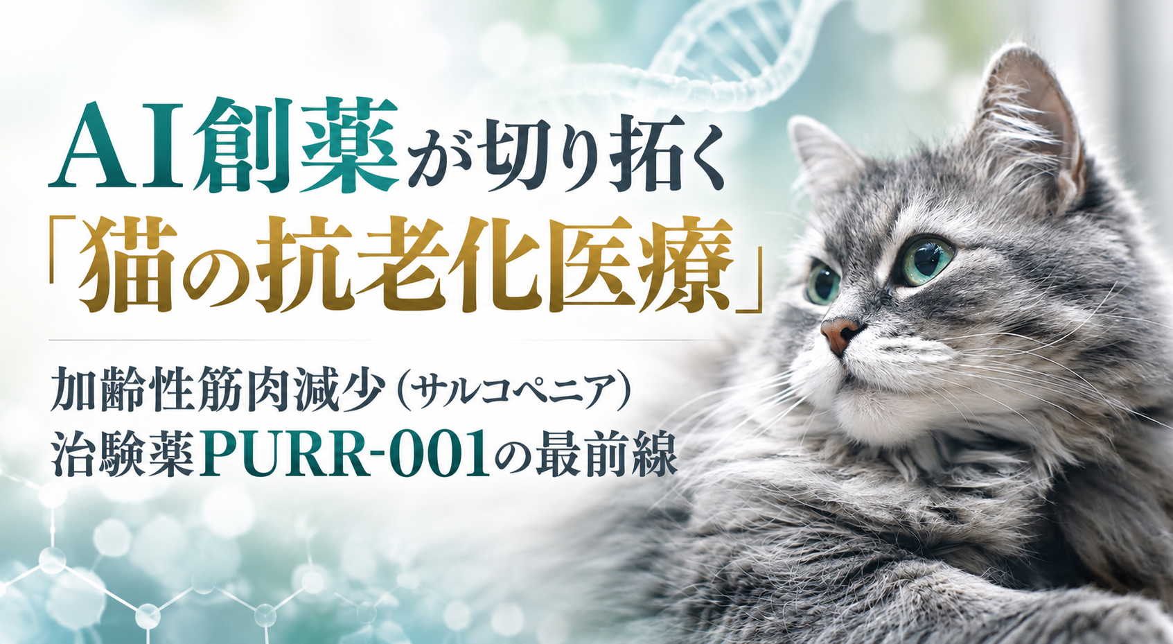 AI創薬が切り拓く「猫の抗老化医療」──加齢性筋肉減少（サルコペニア）治験薬PURR-001の最前線