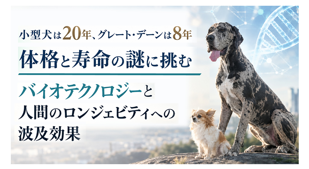 小型犬は20年、グレート・デーンは8年──体格と寿命の謎に挑むバイオテクノロジーと、人間のロンジェビティへの波及効果