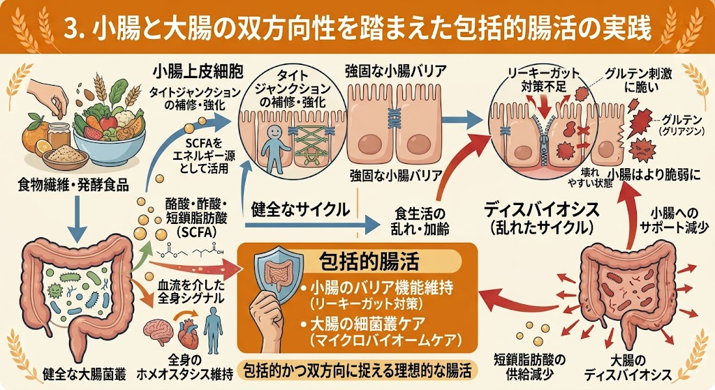 小腸と大腸の双方向性を踏まえた包括的腸活の実践