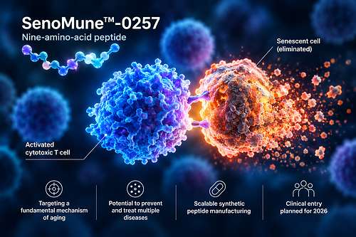 AIが創り出した最小ペプチド「SenoMune-0257」