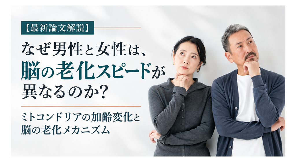 【最新論文解説】なぜ男性と女性は、脳の老化スピードが異なるのか?──ミトコンドリアの加齢変化と脳の老化メカニズム